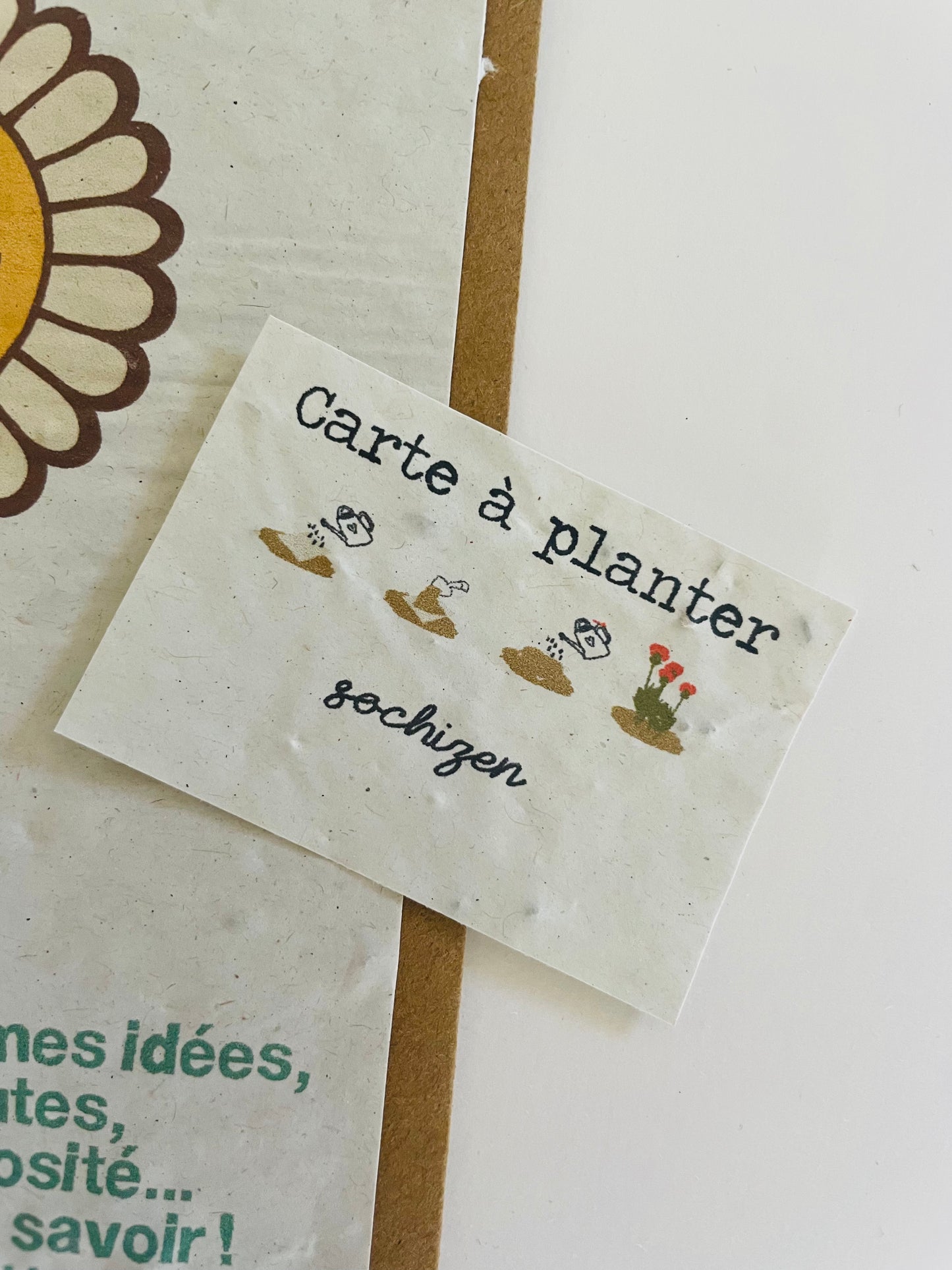 Carte à planter marguerite