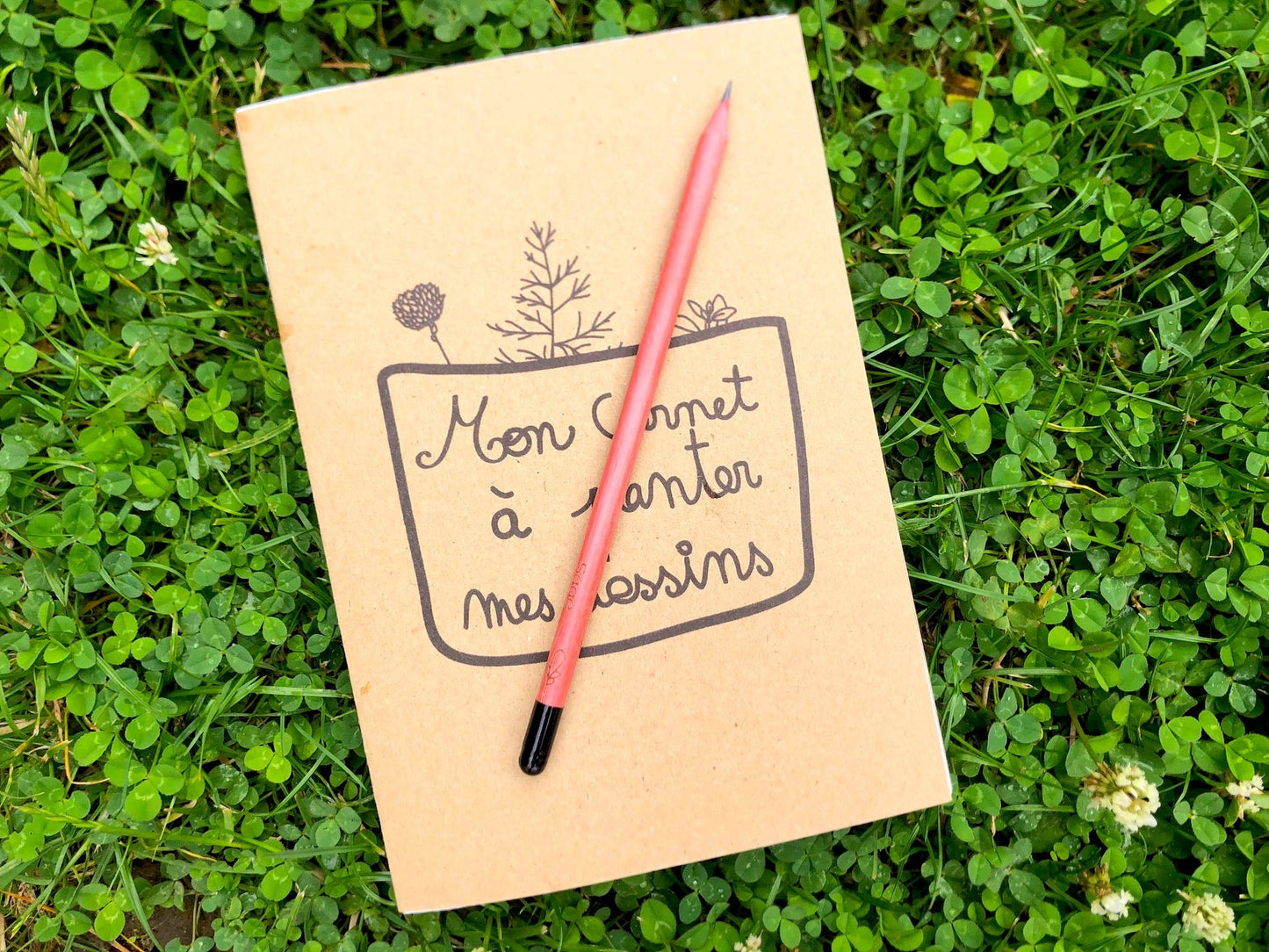 Carnet de dessin à planter pour enfant