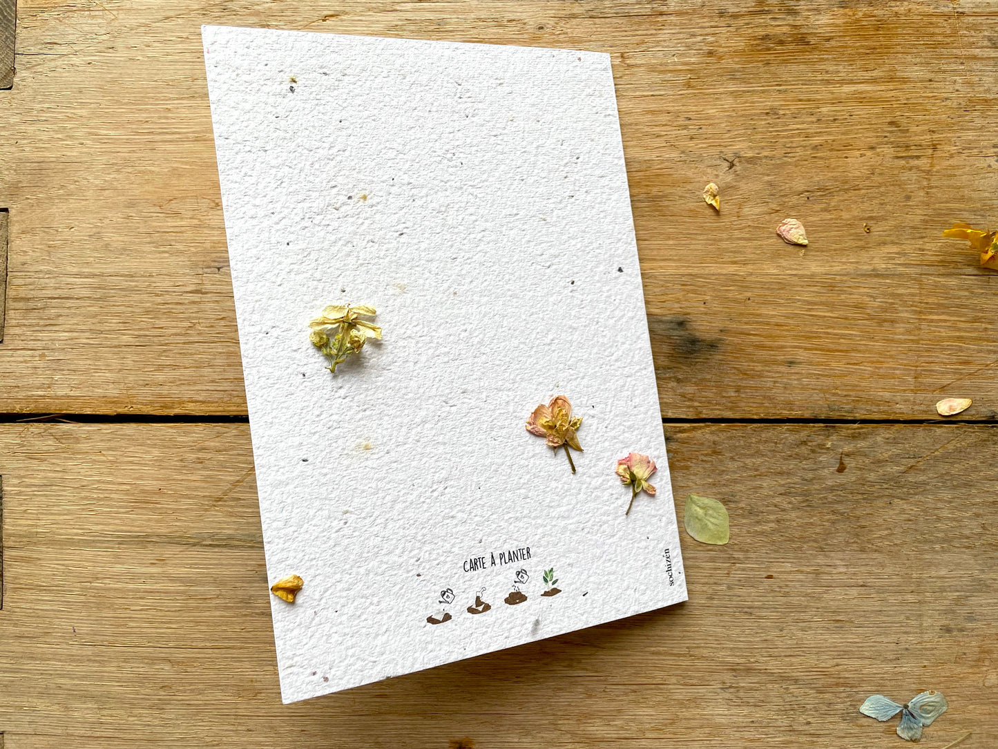 Grande carte à planter rose trémière