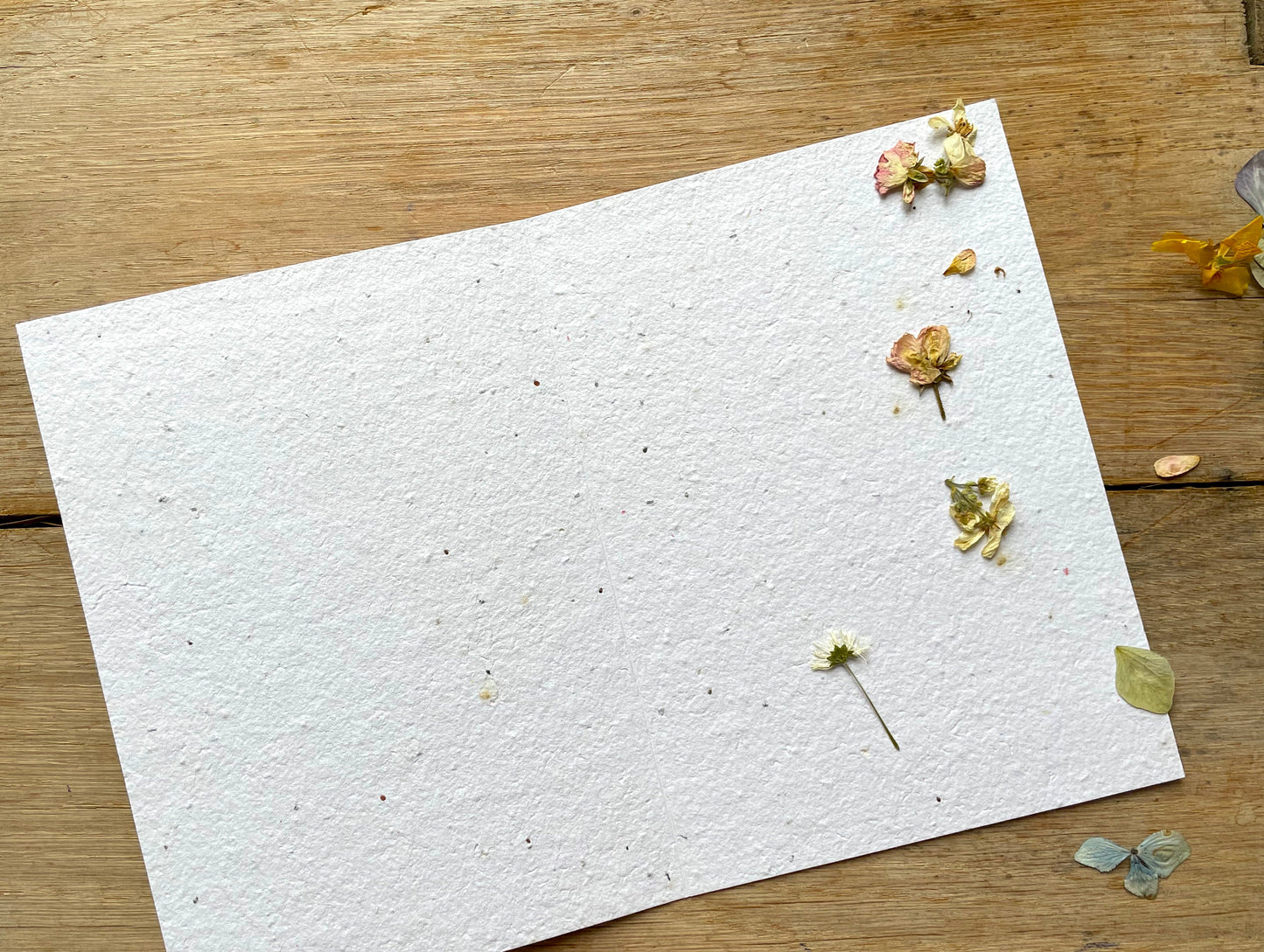 Grande carte à planter rose trémière
