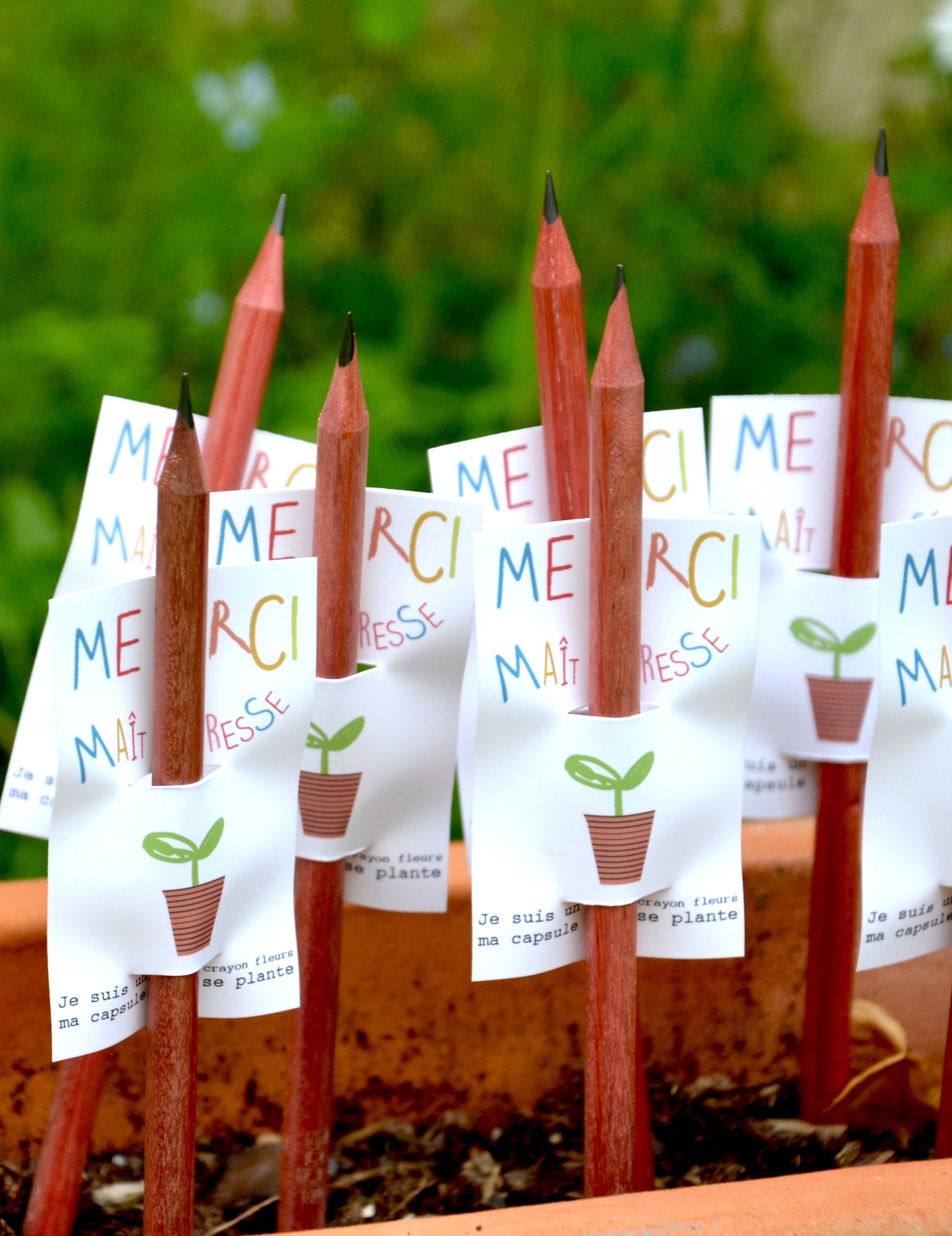 Crayon à Planter Personnalisé – cadeau maitresse - cadeau personnalisé